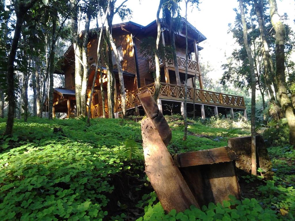 a wooden house with a large log in front of it at La Linda Cabañas in Dos de Mayo