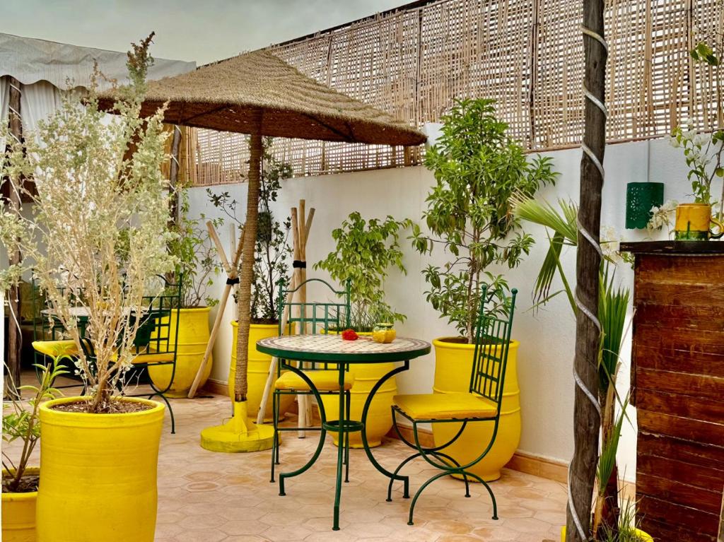 Zahrada ubytování Riad Iklil