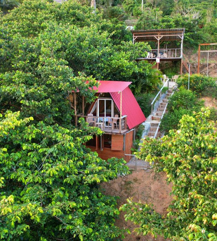 Κήπος έξω από το Pure Nature - Eco-lodge in the Mountains!