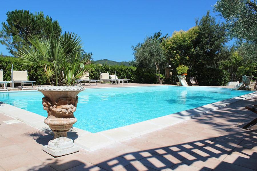 a large swimming pool with a fountain in front of it at Agriturismo Fara del Falco in Vieste