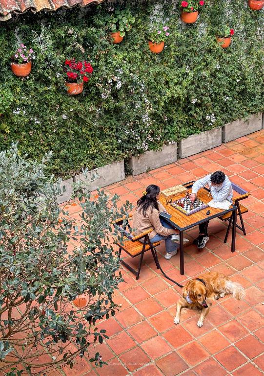 Domácí mazlíčci ubytovaní s hosty v ubytování Hotel Casa Manoa Sesquile