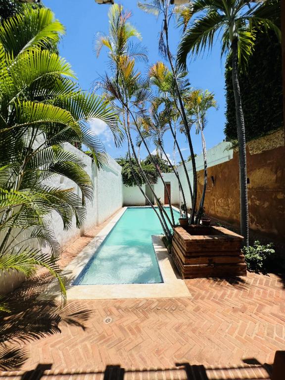 圣多明各Paseo Colonial - Leo's Favorite #8的一座棕榈树游泳池,位于酒店大楼旁