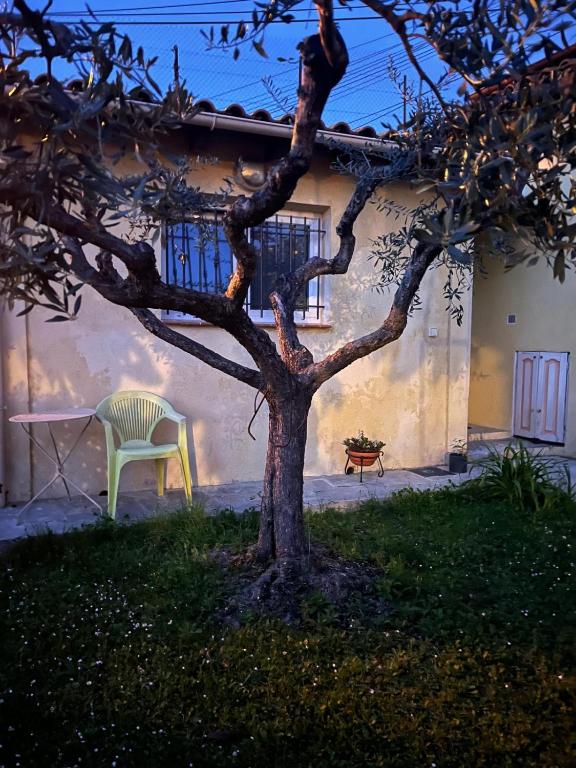 un arbre devant une maison avec une chaise dans l'établissement Loft 43, à La Trinité