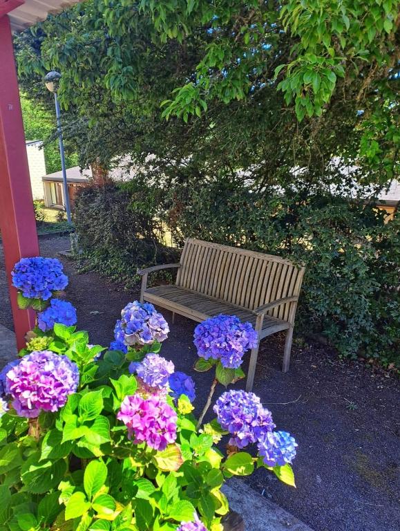 un banc en bois assis à côté d'un bouquet de fleurs dans l'établissement Appartement à 200 m du lac de la Raviège, à La Salvetat-sur-Agout