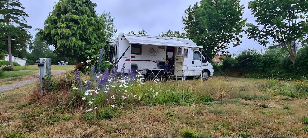 Aed väljaspool majutusasutust Langeland Camping