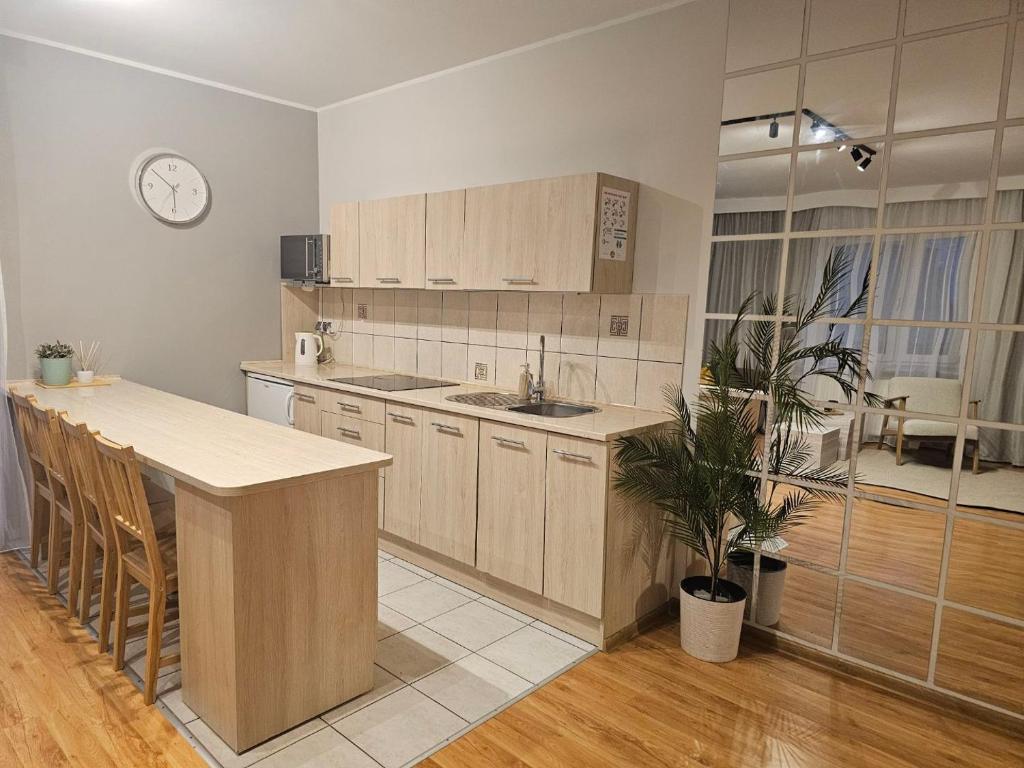 Kuchyňa alebo kuchynka v ubytovaní Apartament Rema w centrum APARTZAKOP