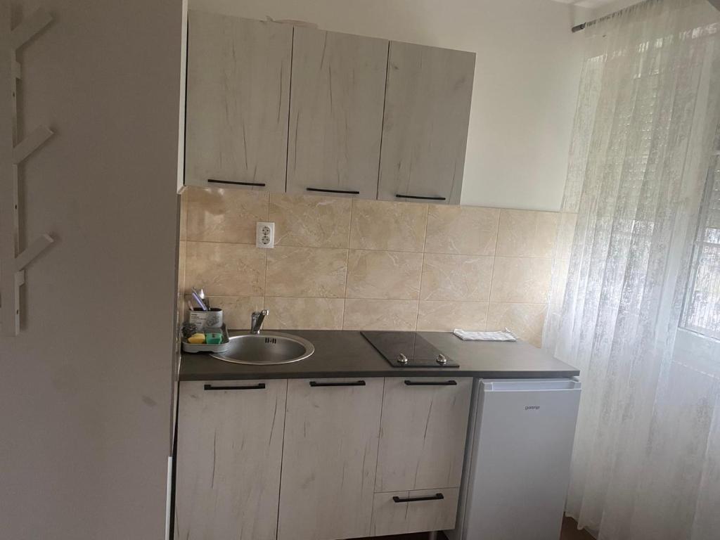 Kuchyň nebo kuchyňský kout v ubytování Apartmani Amon