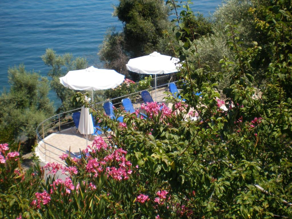 Táj Show holiday homes közelében