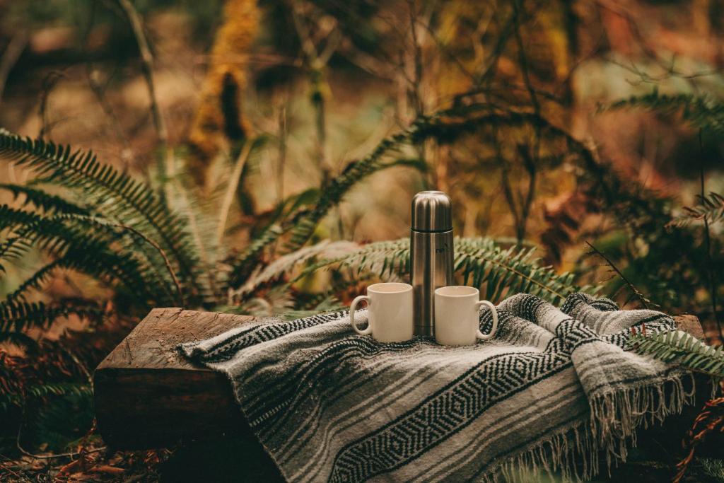 Fotografie z fotogalerie ubytování Starry Skies Campout v destinaci Azalea