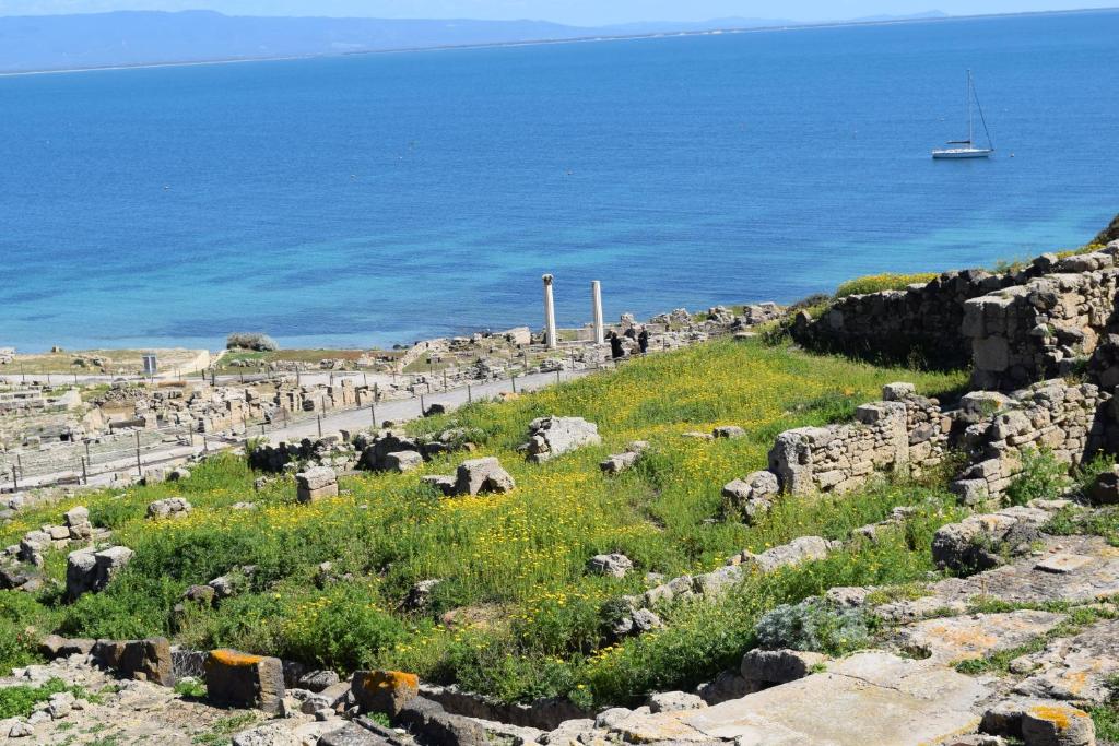 B&B Terre del Sinis - 9