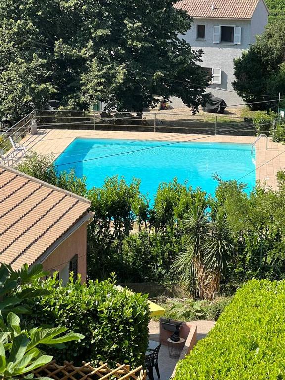 une grande piscine bleue dans une cour dans l'établissement Le petit mauricia, à San-Nicolao