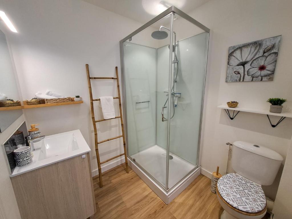a bathroom with a shower and a toilet and a sink at Le Mosaïque, proche gare, terrasse, parking privé in Laval