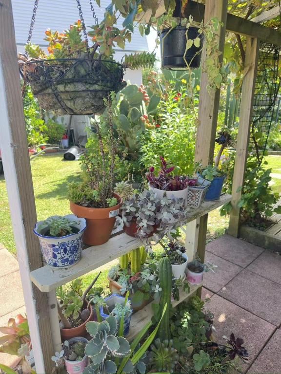 sweet house - Resim 27