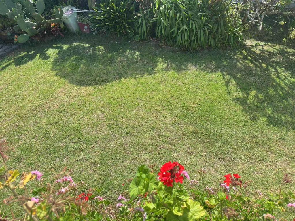 sweet house - Resim 35