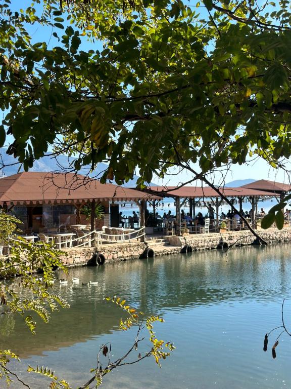 a restaurant next to a body of water at The Mussel House in Ksamil