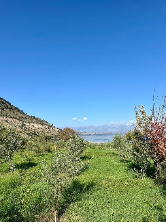a grassy hill with a view of a body of water at The Mussel House in Ksamil