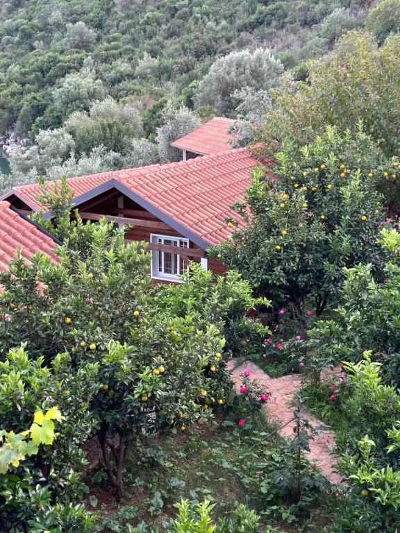 a house with a red roof and some trees at The Mussel House in Ksamil