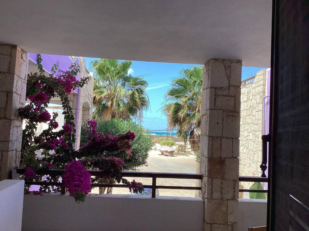 a view of the beach from a building with flowers at Two Bedrooms, Wifi, Near Beach - Ca Greta in Sal Rei