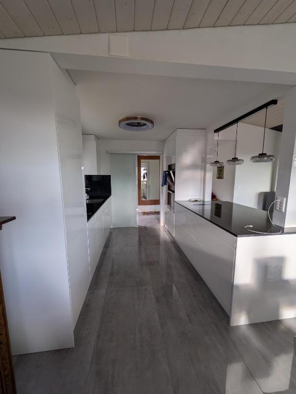 Kuchyň nebo kuchyňský kout v ubytování Renovated Villa with HotTub