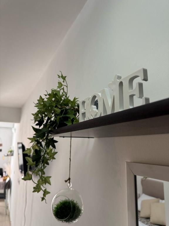 a shelf with a potted plant on top of a fireplace at Elba Apartment in Msida