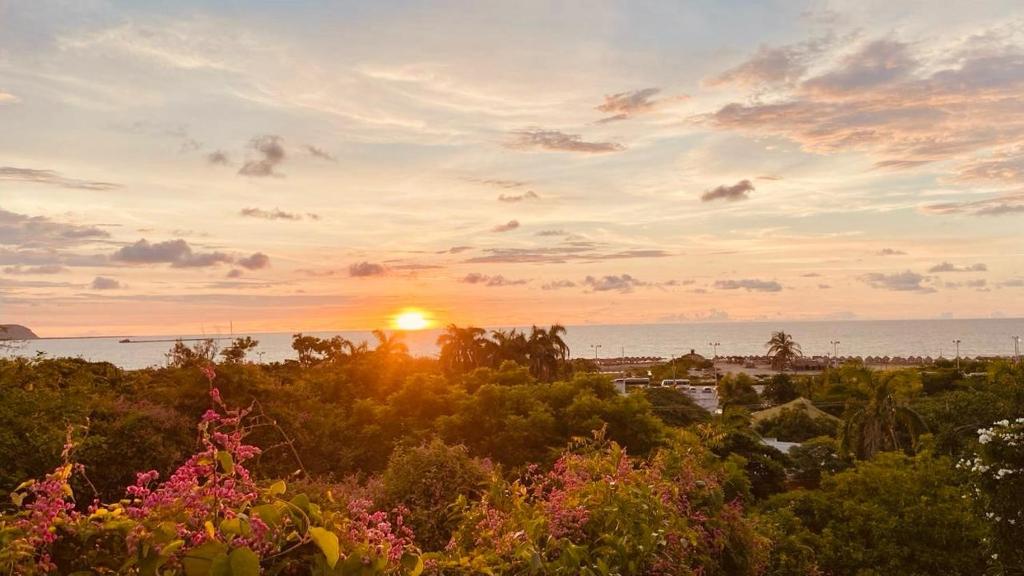 a sunset over the ocean with trees and flowers at Mohana in Puerto Colombia