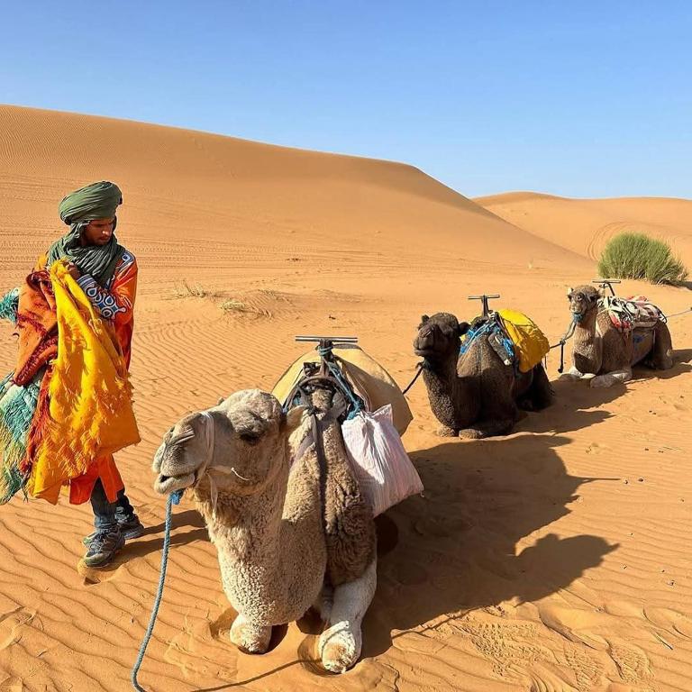 Hosté ubytování Sahara Eyes Luxury Camp