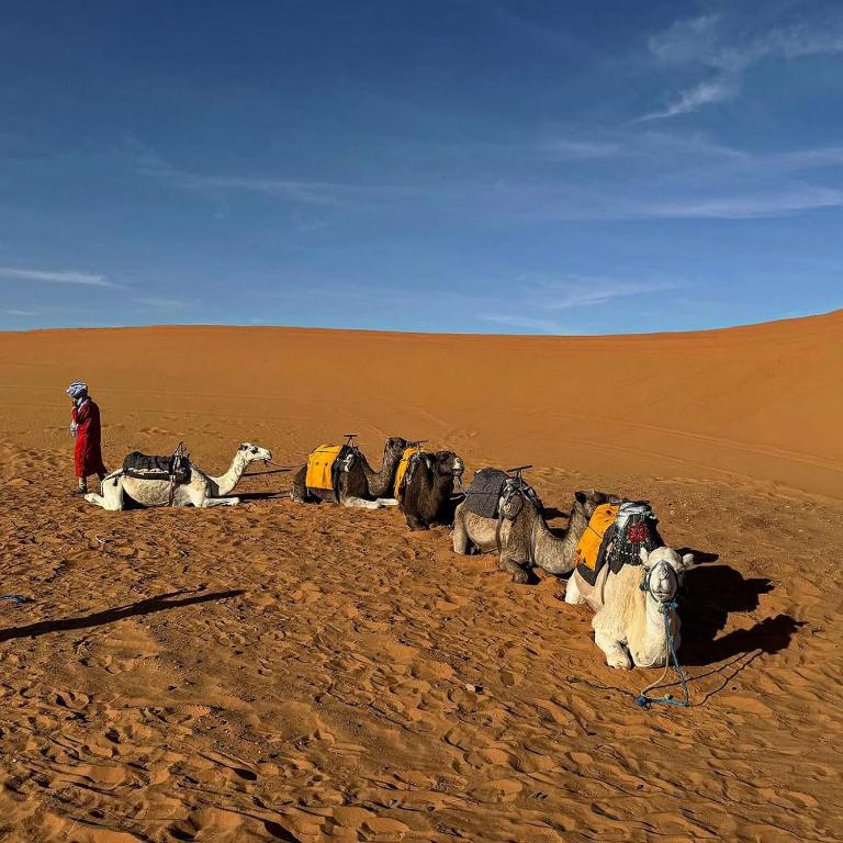 Fotografie z fotogalerie ubytování Sahara Eyes Luxury Camp v destinaci Merzouga