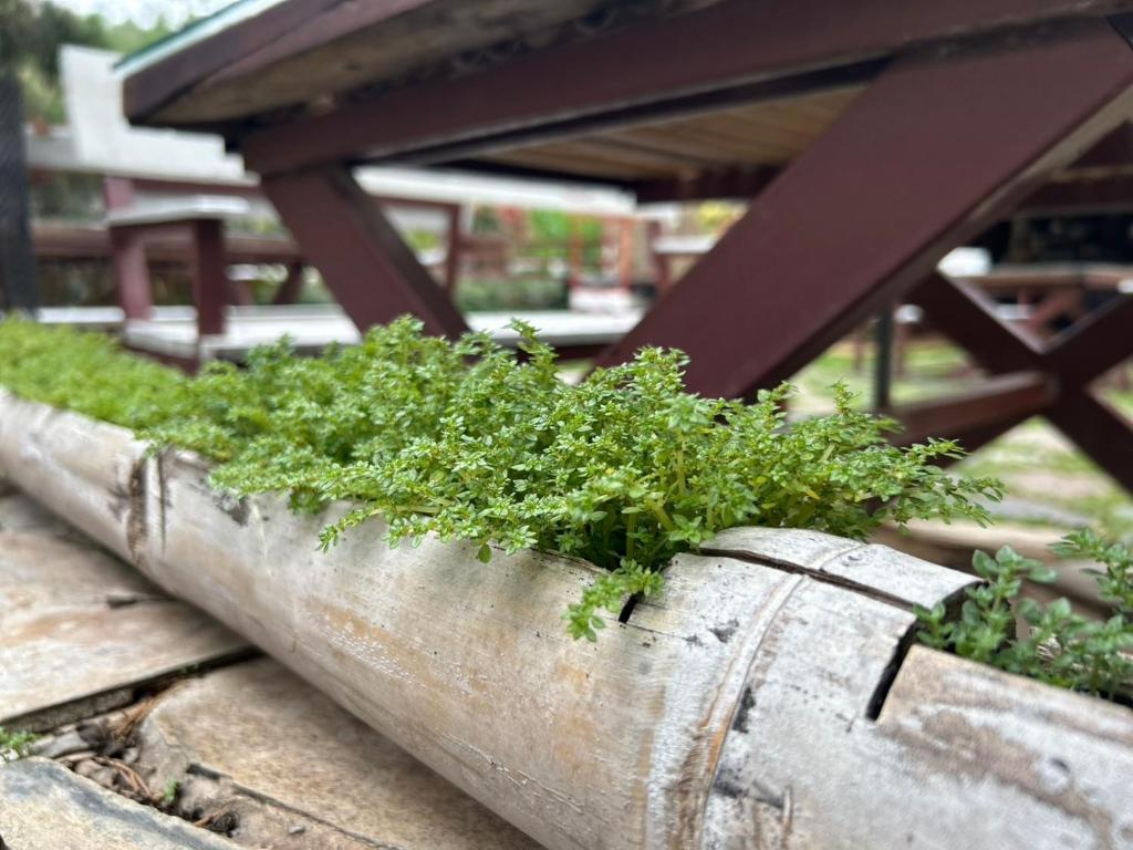 Zahrada ubytování Ville De La Vie Khao Yai