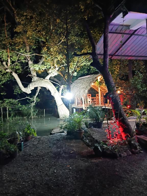 Zahrada ubytování Nature Lotus Villa