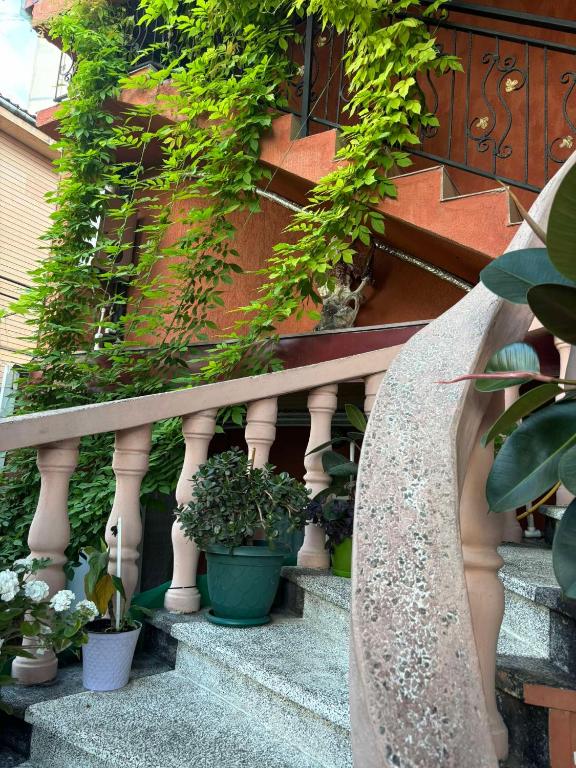 Zahrada ubytování Gegas hotel