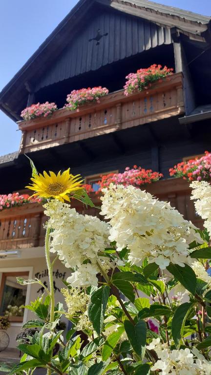 Zahrada ubytování Pension Trillerhof