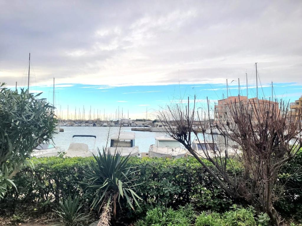 une vue d'une marina avec des bateaux dans l'eau dans l'établissement Bel appartement avec grande terasse sur le vieux port, au Cap d'Agde