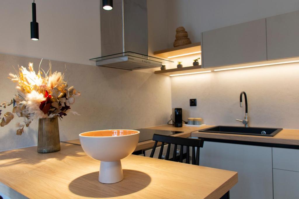 Kuchyň nebo kuchyňský kout v ubytování Lotus Serenity Suites