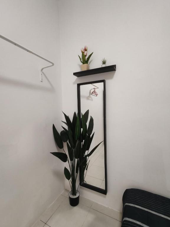 Fotografie z fotogalerie ubytování ZE VI Homestay,Tanah Rata v destinaci Tanah Rata