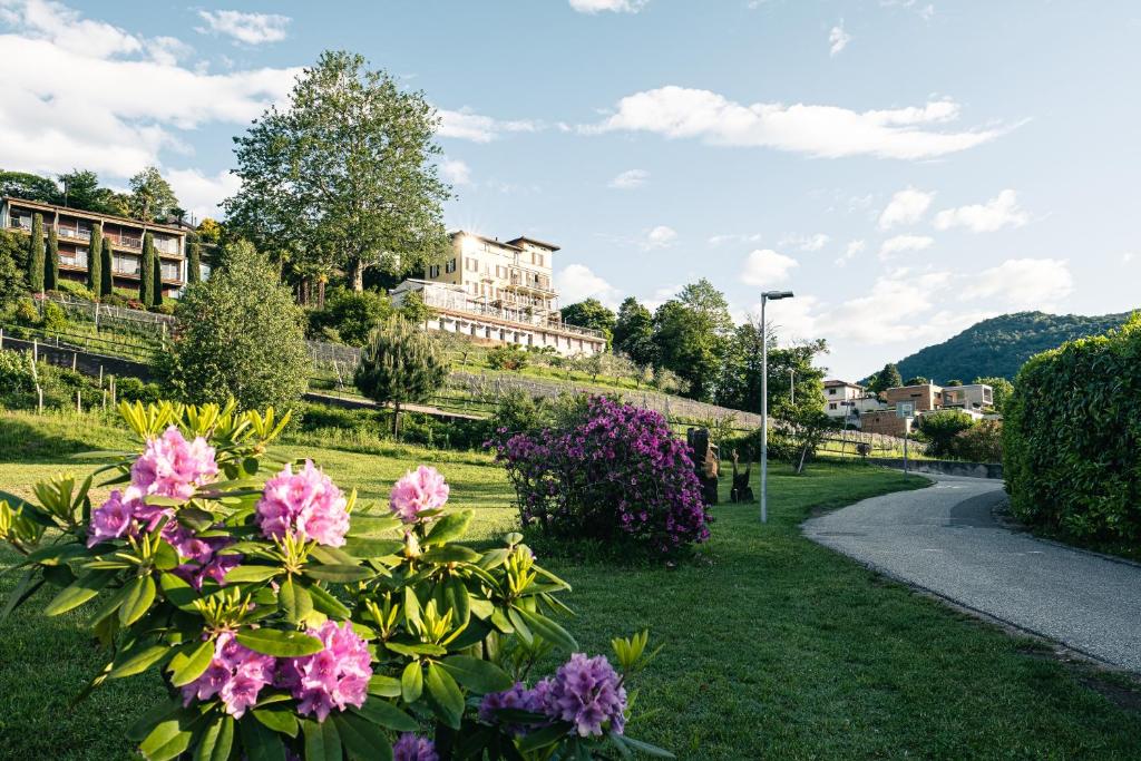 Příroda nedaleko hotelu