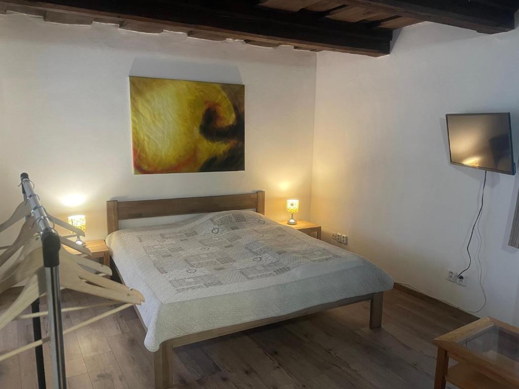 Penzion Bohemia - Resim 41