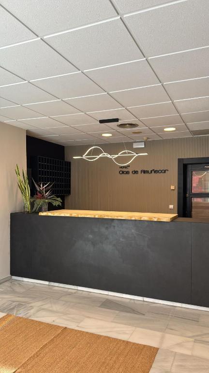 Hotel Olas de Almuñécar 5