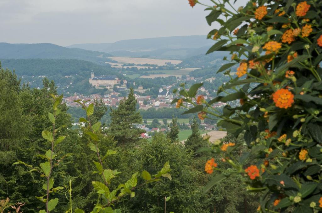 una vista de una ciudad desde una colina con flores naranjas en Panoramahotel & Restaurant am Marienturm en Rudolstadt