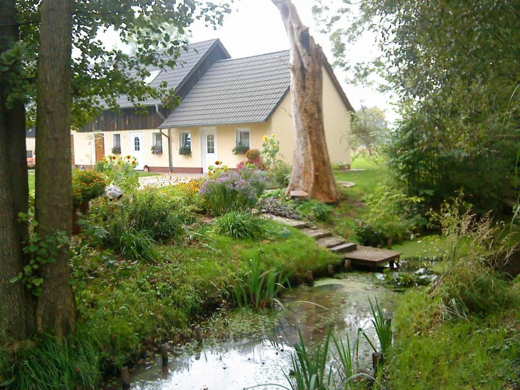 a house with a pond in front of a garden at Ferienwohnung am Storchennest in Schmogrow