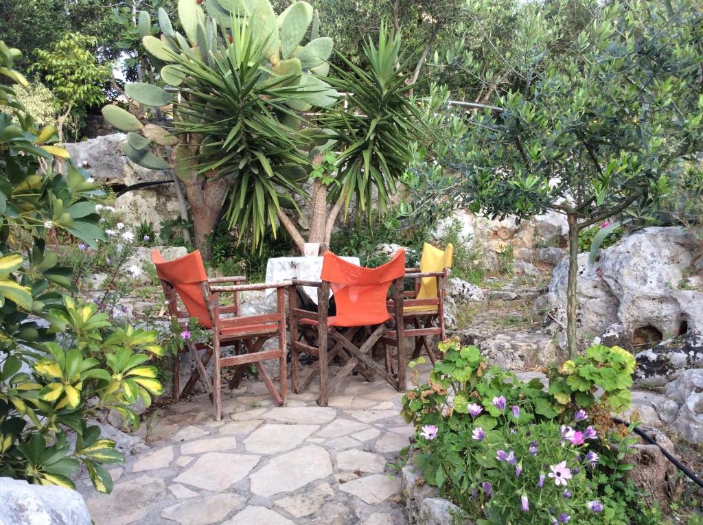 Zahrada ubytování Bicorna - Chania