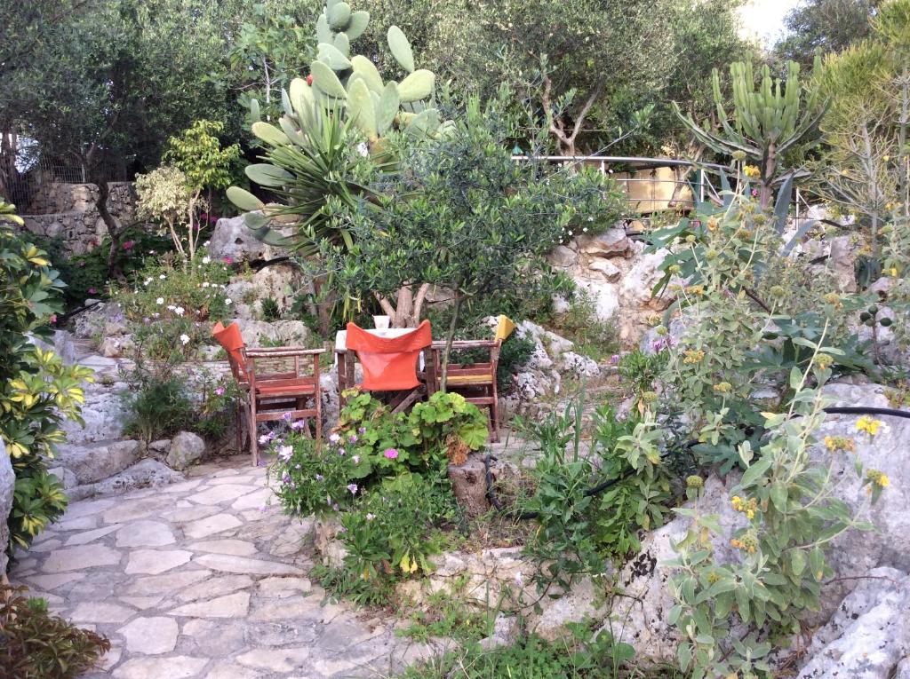 Zahrada ubytování Bicorna - Chania