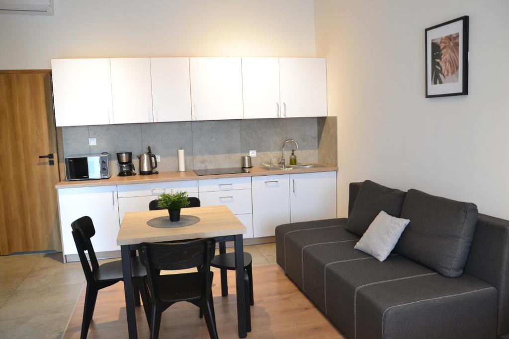 Apartamenty na Ceglanej - 9