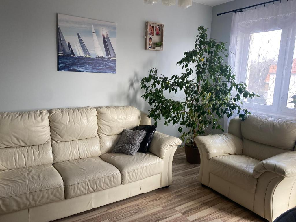 Gallery image of Apartament Ekomarina 24 in Giżycko
