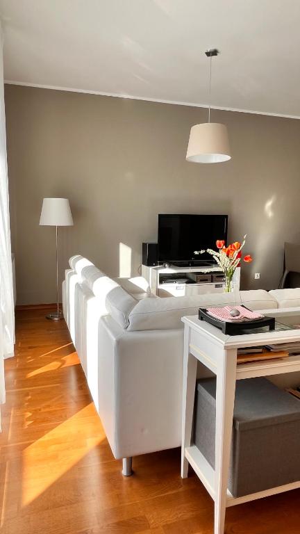 Televízia a/alebo spoločenská miestnosť v ubytovaní Mercury two-bedroom apartment & parking