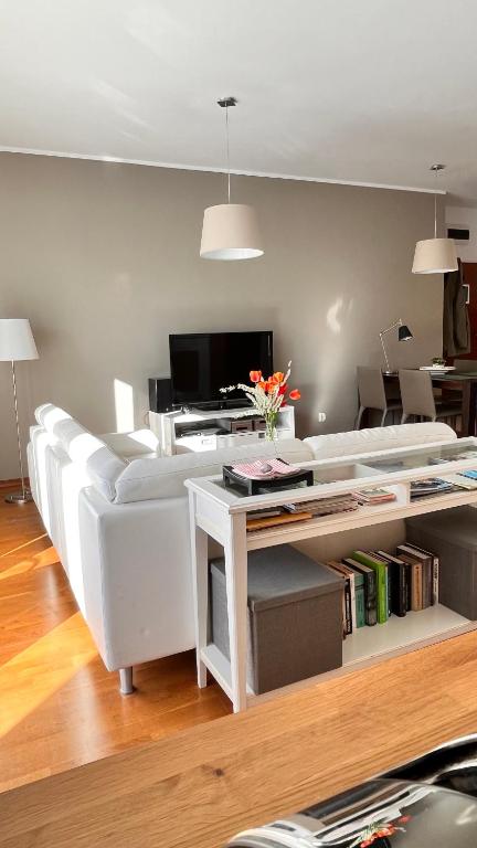 Televízia a/alebo spoločenská miestnosť v ubytovaní Mercury two-bedroom apartment & parking