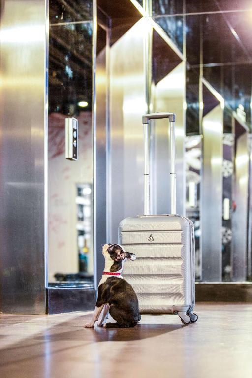 Radisson RED Hotel, Glasgow - Resim 8