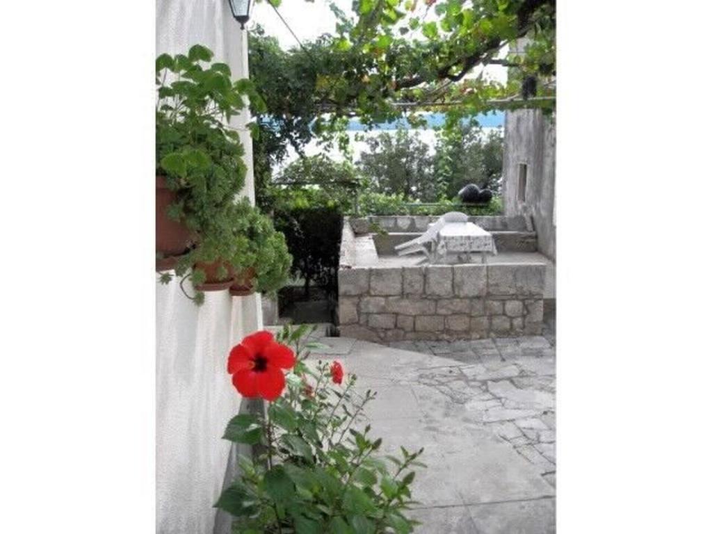 Vonkajšia záhrada v ubytovaní House Antun