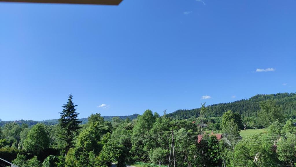 Apartamenty Wisła Krzywa 8, wanna z hydromasażem, basen zewnętrzny - 19