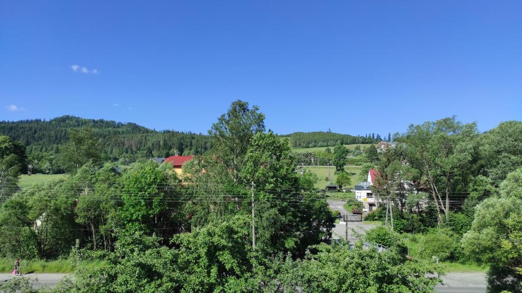 Apartamenty Wisła Krzywa 8, wanna z hydromasażem, basen zewnętrzny - 18