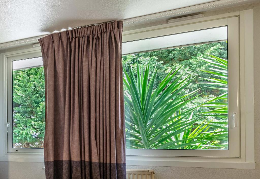 Zahrada ubytování B&B HOTEL Quimper Sud Bénodet